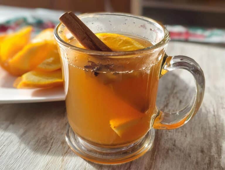 A glass mug filled with Apple Cider Cinnamon Tea, garnished with orange slices and a cinnamon stick.