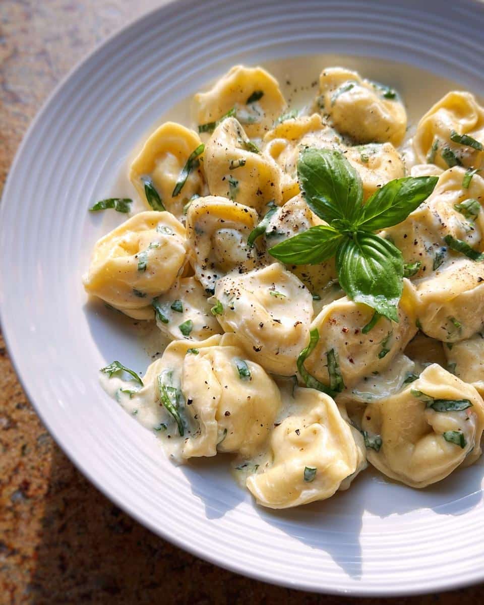 Close-up of One-Pot Creamy Tortellini with Basil in a rich white sauce, garnished with fresh basil leaves and black pepper.